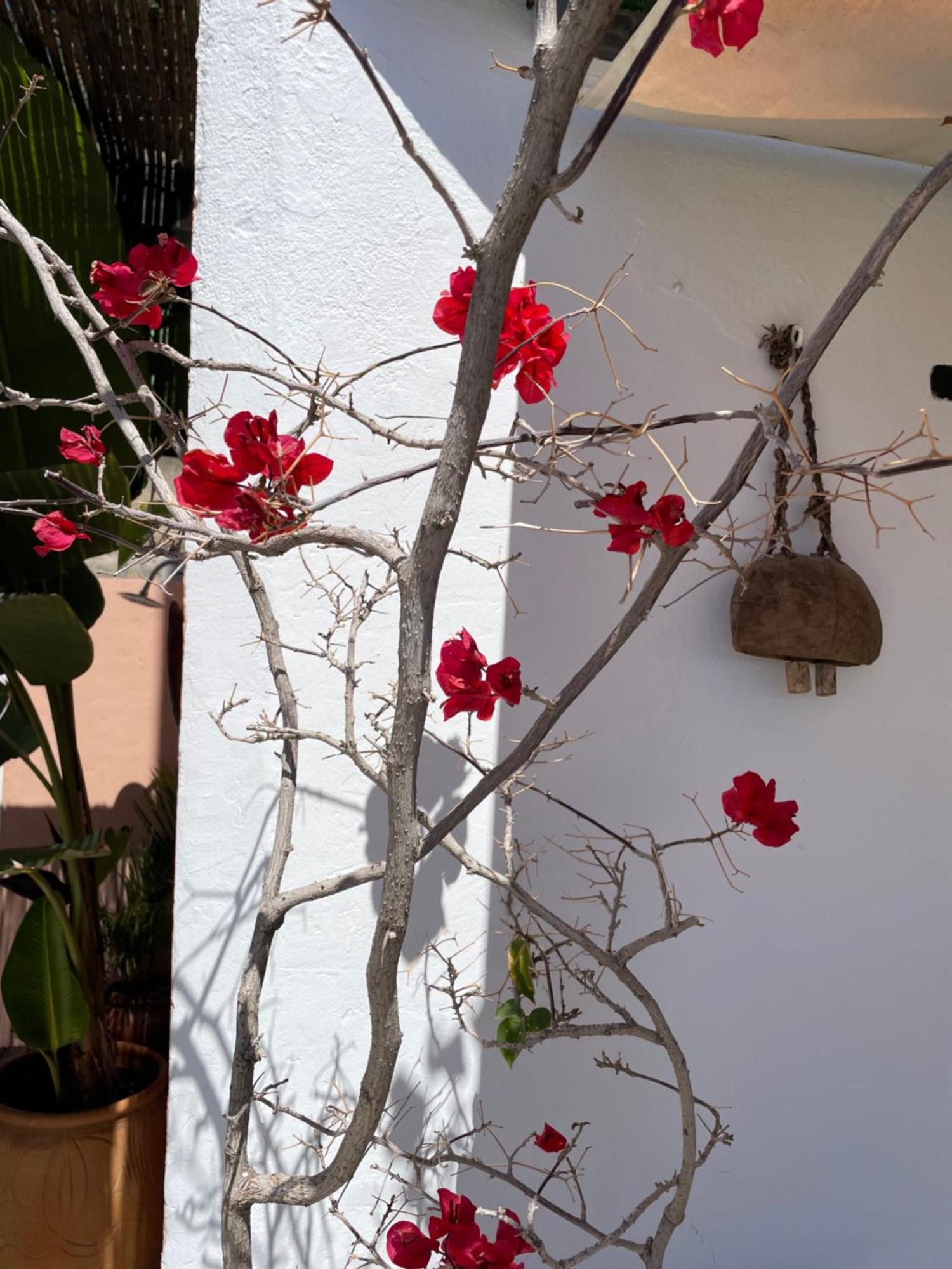 Mar De Fondo En Pedregalejo Apartment Malaga Exterior photo